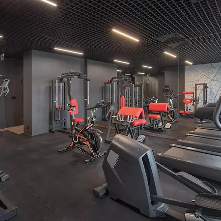 Apartment Gym & Sauna & Netflix Wiktoryn By Complete House *